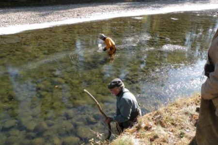 Freshwater mussels could be glowing in the Kettle