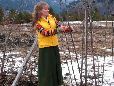 Doukhobor Discover Centre offers land for public to grow food