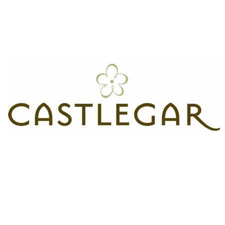 Castlegar budget 2010 - have your say