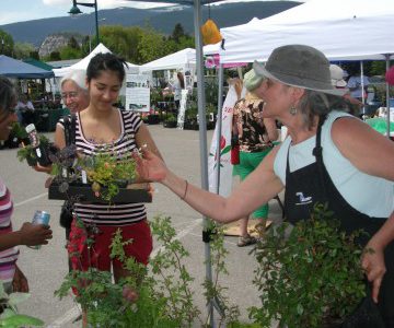 Garden Festival guaranteed to grow