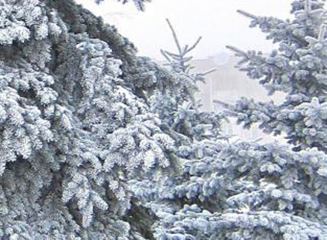 Snowfall warning in effect for overnight, Wednesday morning