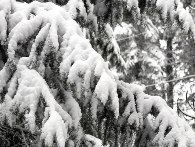 Heavy snow on the way for Wednesday; avalanche risk high   