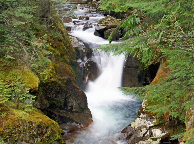 Volunteers pledge to re-open Kokanee Park visitor’s centre