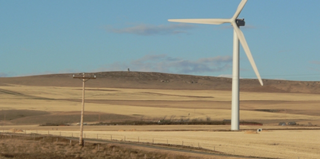 A green web of intrigue builds in the Columbia Basin