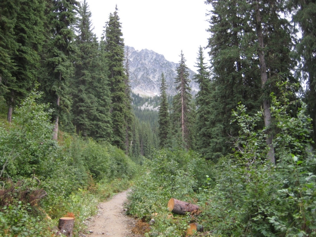 'Geo-cached' treasure awaits adventurers in Kokanee Glacier Provincial Park