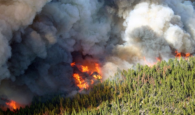 B.C. summer fire season reaches historic low