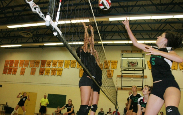 Cats grab bronze by stopping Elkford, Immaculata continues to shine with KVC title
