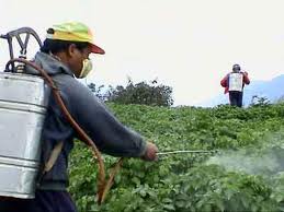Health organizations launch anti-pesticide campaign