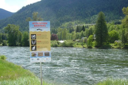 Clean, Drain, Dry will help prevent the spread of zebra mussels into the Kootenays