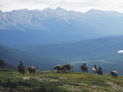 Study sets out path to protect  the Rocky Mountains’ wildest area