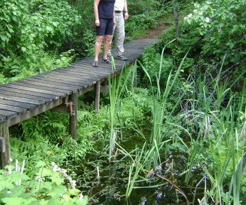 Scenic explorations of Castlegar ... without the need to swim