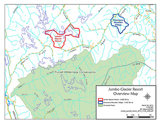 Mixed response to BC Government Jumbo municipality approval decision