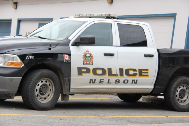 Busy Friday for Nelson Police Department