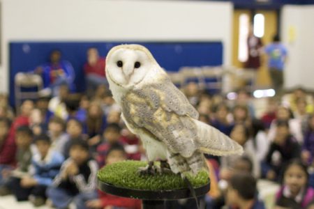 Earth Rangers en route to Trail schools