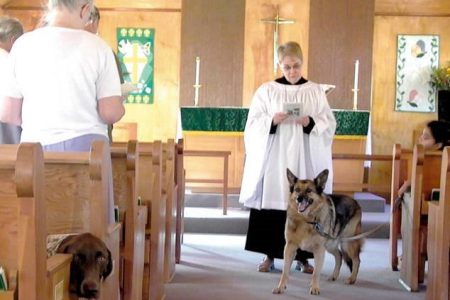 Furry faith to be found at annual Blessing of the Pets