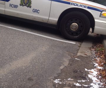 Police respond to complaint of dinosaur blocking traffic in Castlegar