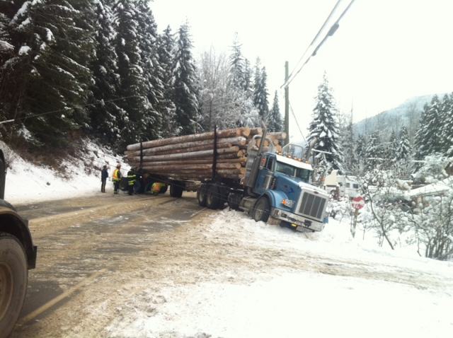 Actions of logging truck driver saves elderly woman from major injuries