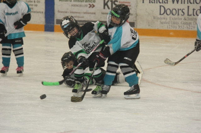 Hockey stars of the future entertain crowds at Nelson Novice Tournament