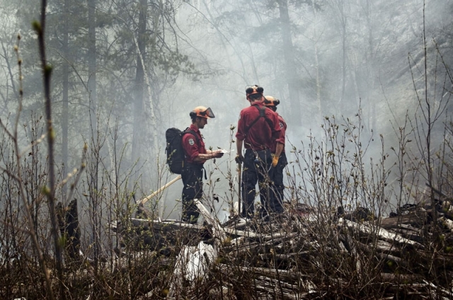 Mother Nature cools off Southeast Fire Centre; crews work to mop up Slocan Park wildfire