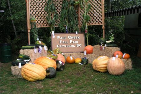 19th Annual Pass Creek Fall Fair kicks off tomorrow!