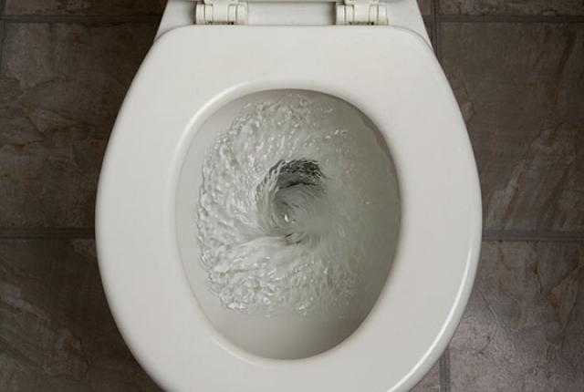Toilet rebate program reduces drain on water supply
