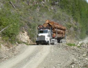 BC government told multi-billion dollar resource road network an asset and a liability