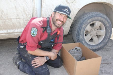 Forest fire crews rescue baby owl named Norman