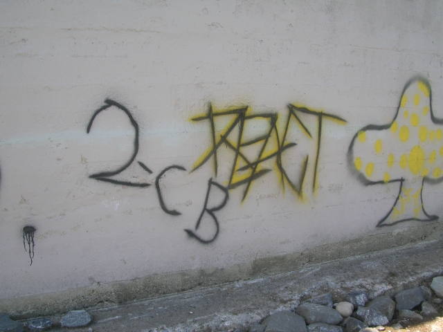 Police release graffiti photos in effort to tag culprits