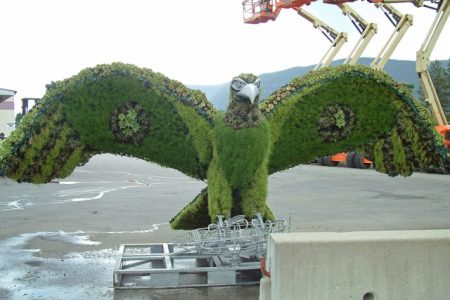 Living sculptures grace Columbia Ave as Communities in Bloom celebrates 10 years in Castlegar