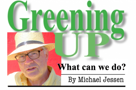 Greening Up: The Future Starts Today