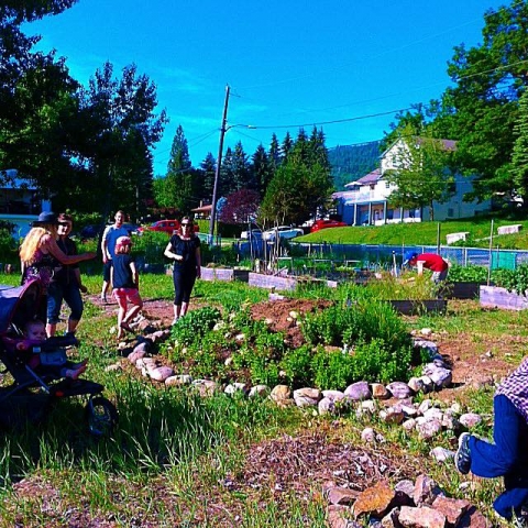 Community Gardens survive internal drought - thanks in large part to city council