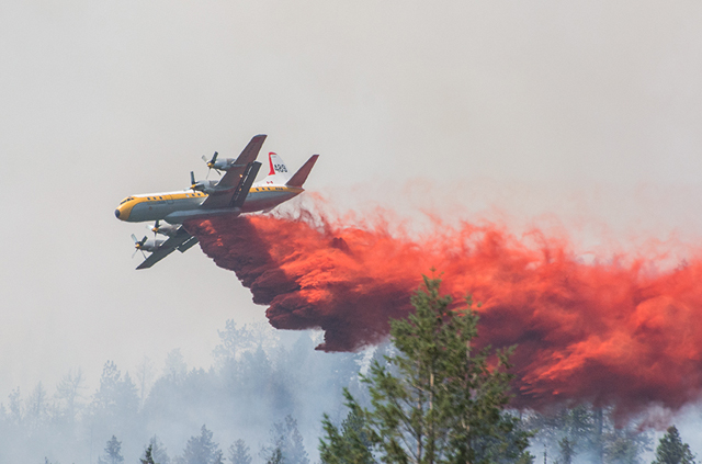 UPDATED: BC Wildlife Services increases manpower on Sitkum Creek fire; meeting tonight at 7 p.m. at at ecole des Sentiers-alpins French language school