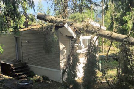 Nelson man believes 'Lady Luck' on his side after tree crushes trailer during Monday's thunderstorm