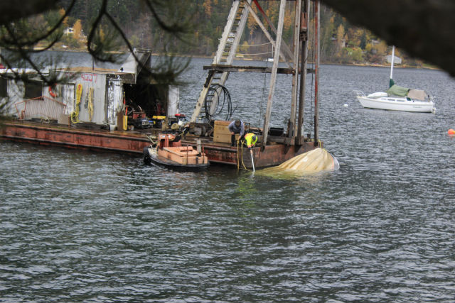 Second sunken boat finally removed from Nelson waterfront