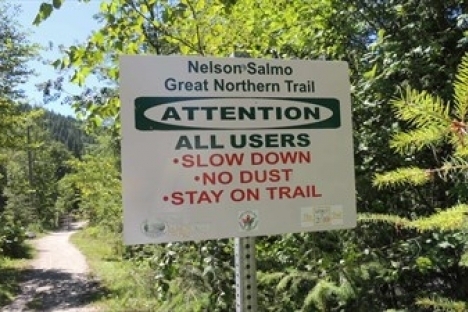 No one injured after young grizzly charges man on Great Northern Trail