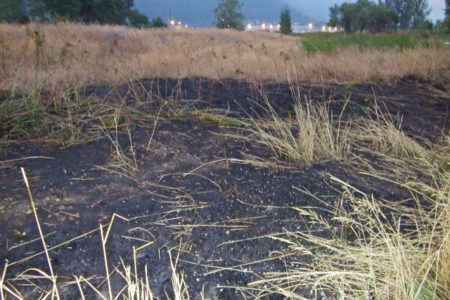 Nelson Fire Rescue extinguishes grass fire on CPR lands