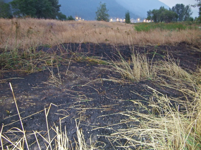 Nelson Fire Rescue extinguishes grass fire on CPR lands