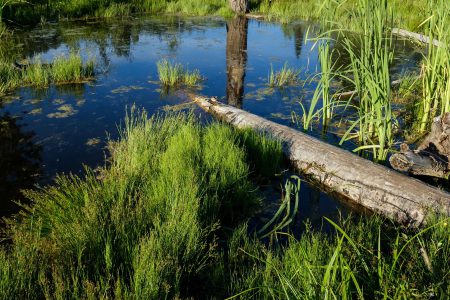 CBT commits $10 million to ecosystem enhancement