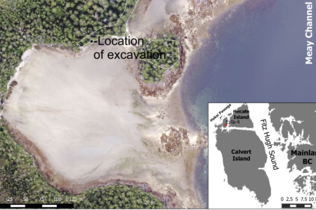 Prehistoric footprints found on BC island