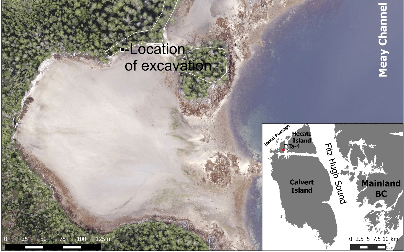 Prehistoric footprints found on BC island