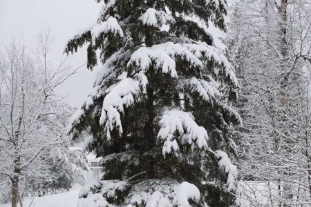 Fire Centre says this winter had the most snow in over 20 years