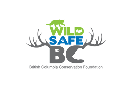 Bears are back - and so is WildSafeBC