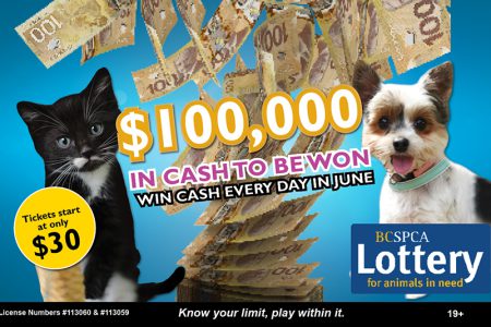 BC SPCA lottery for animals in need is back and bigger than ever