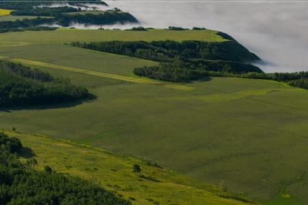 Investigation: Petrowest numbered company awarded $10 million Site C dam contract on eve of bankruptcy