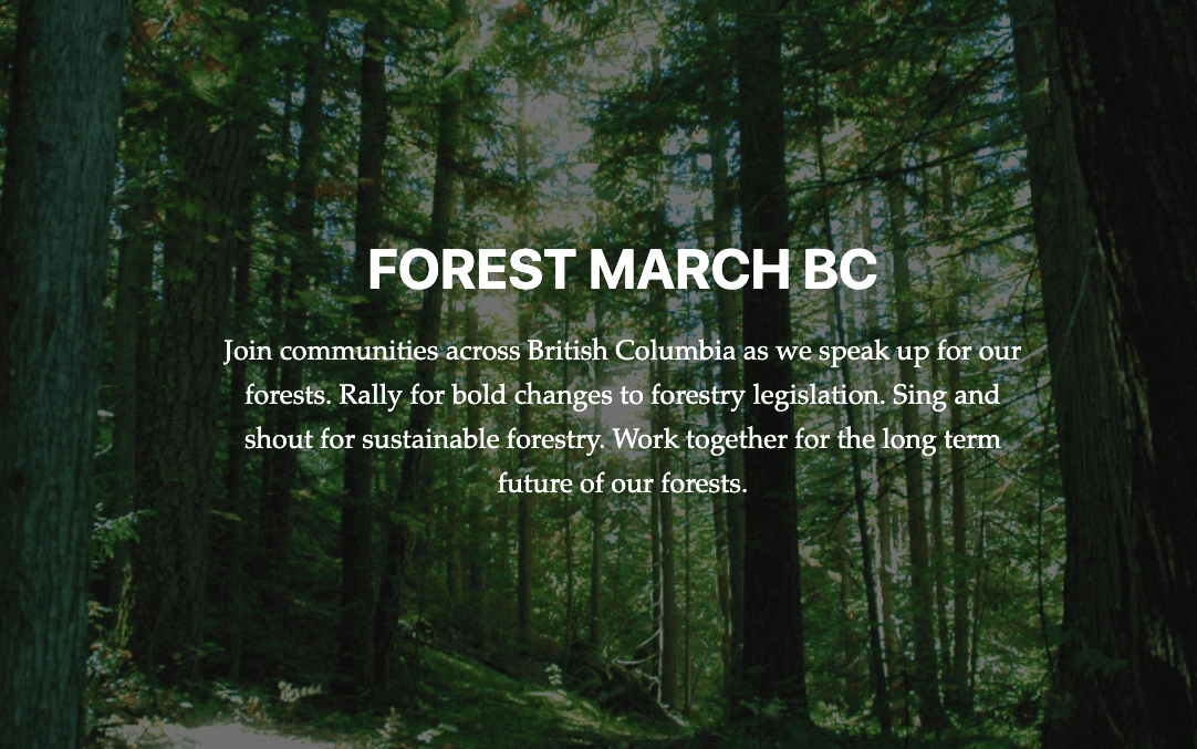 Communities Rally for Better Forest Management Across BC