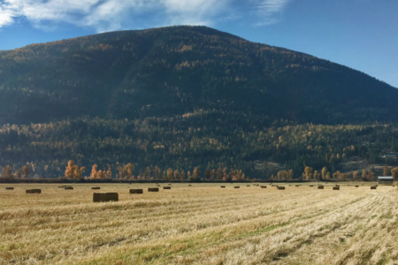 New partnerships help Kootenay, Boundary farmers adapt to climate change