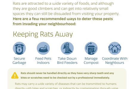 RATS! City of Castlegar gets first reports of rats in town