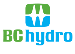 From beavers to burglars: BC Hydro ranks its most memorable power outages of 2020