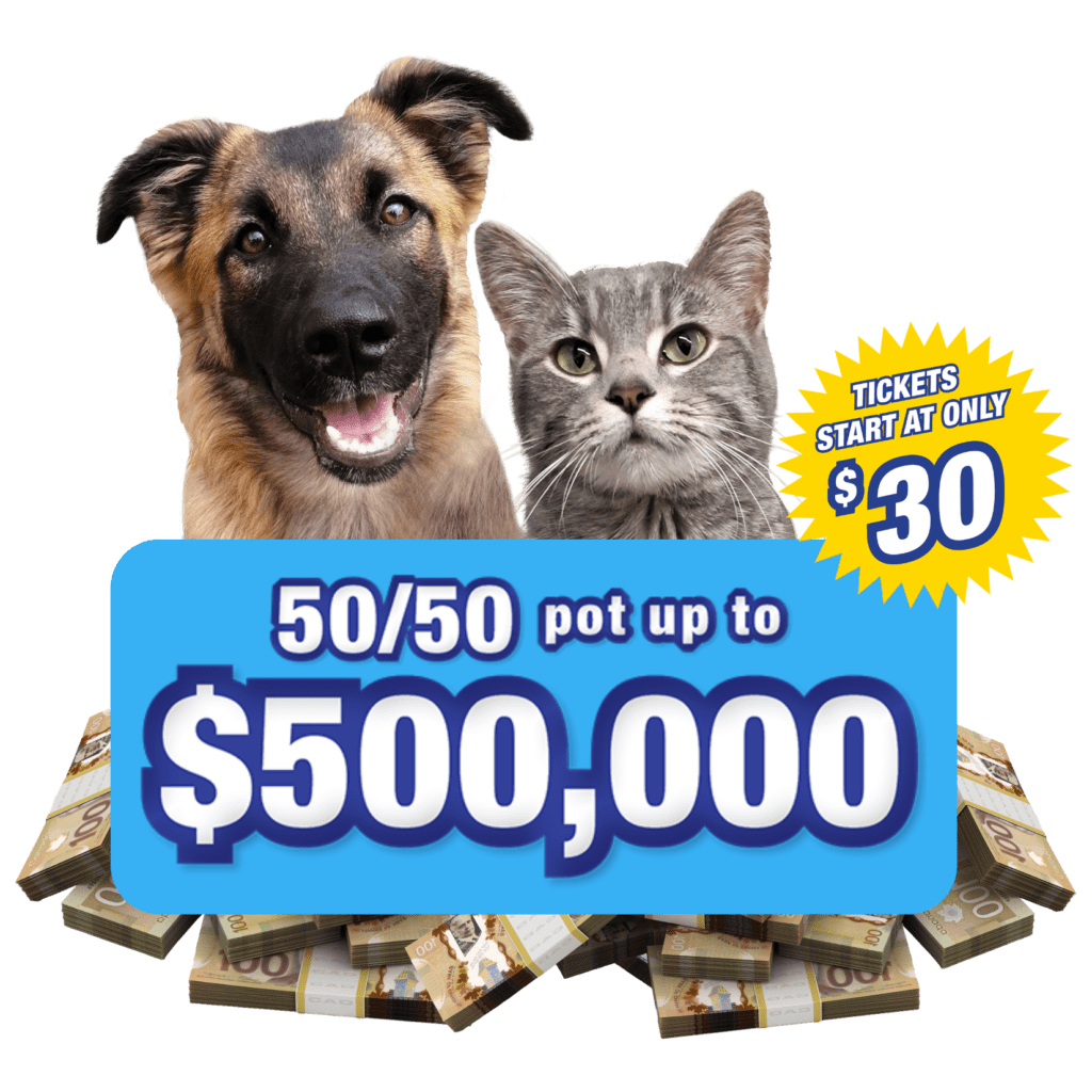 BC SPCA Spring Lottery for the animals is bigger than ever