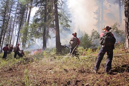 Prescribed burn near Slocan, within Ponderosa FSR area